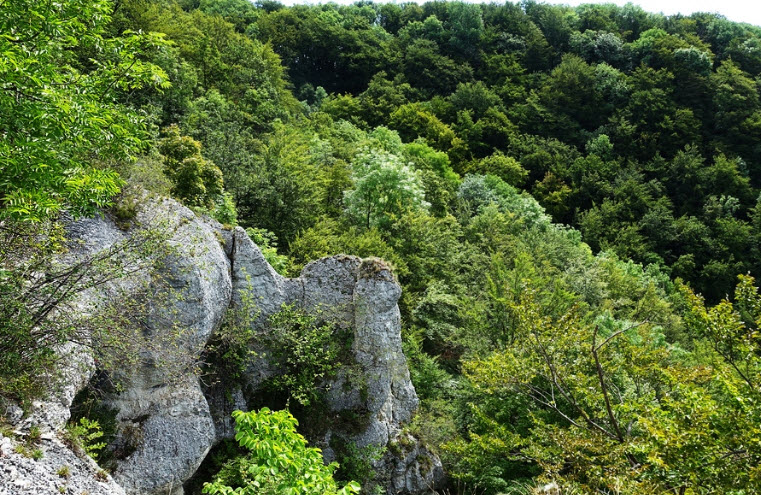 Ruine Wuelstein (Burgstall), Germany